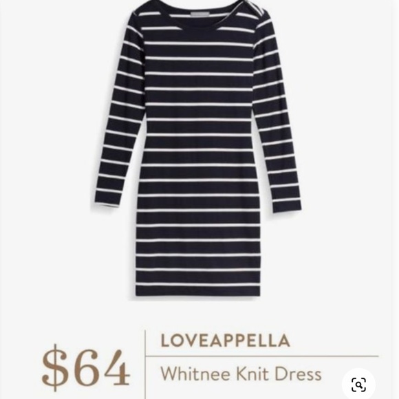 Fitted long sleeve, navy dress with white stripes - Picture 1 of 6